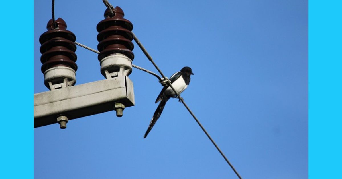 【第9回】ポータブル電源Q&A大全｜寿命・安全性・飛行機・爆発の不安を全解消！